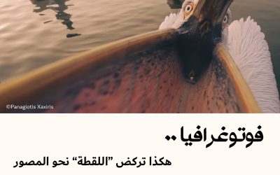 فوتوغرافيا : هكذا تركض “اللقطة” نحو المصور