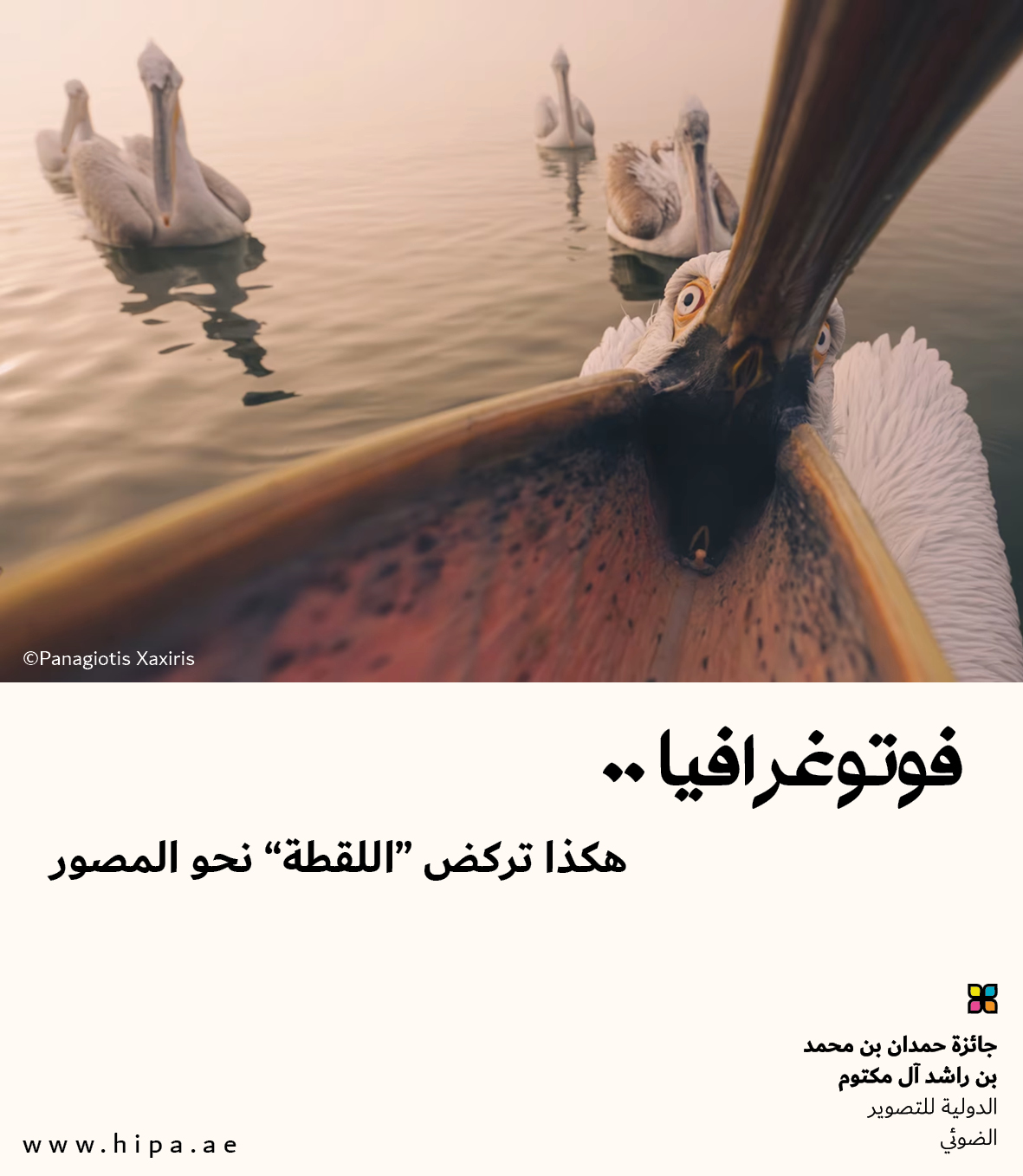 You are currently viewing فوتوغرافيا : هكذا تركض “اللقطة” نحو المصور