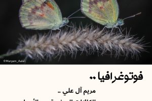 فوتوغرافيا : مريم آل علي .. الكائنات الصغيرة هي الأجمل
