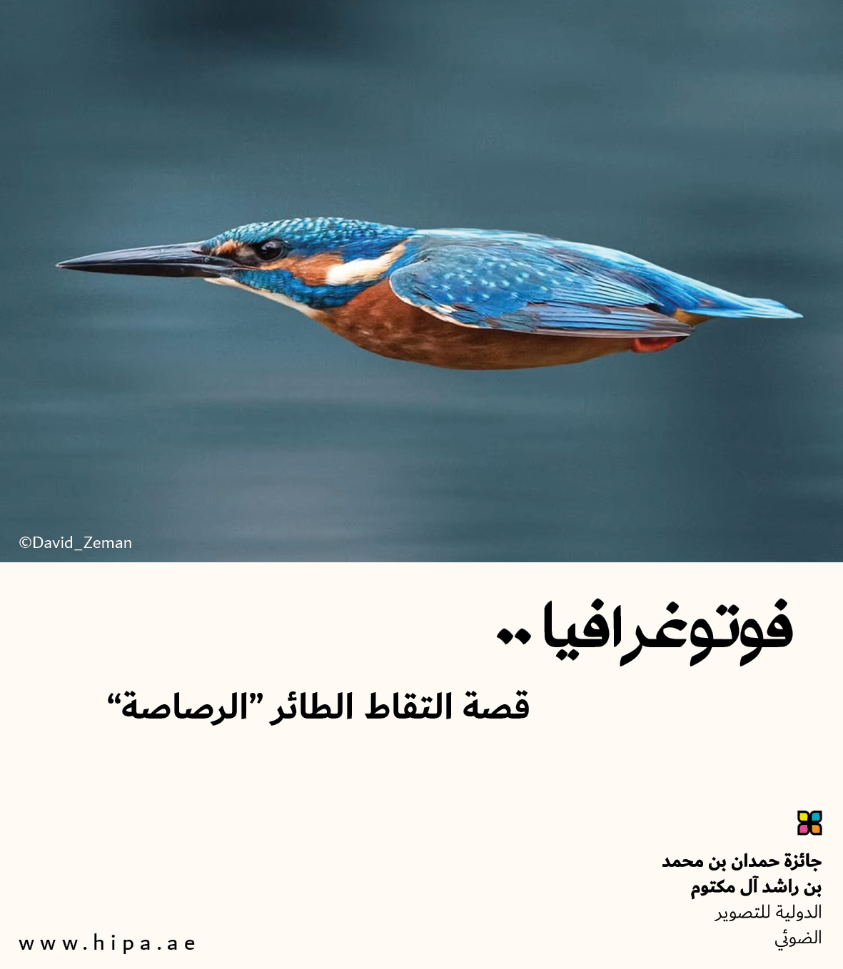 You are currently viewing فوتوغرافيا : قصة التقاط الطائر “الرصاصة”