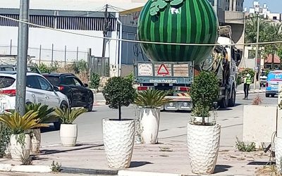 بطيخ جنين يعود إلى الواجهة
