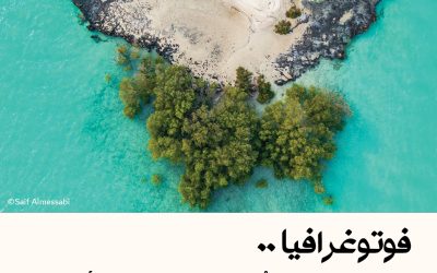 فوتوغرافيا : جُزُر القرم من الأعلى .. في أبوظبي