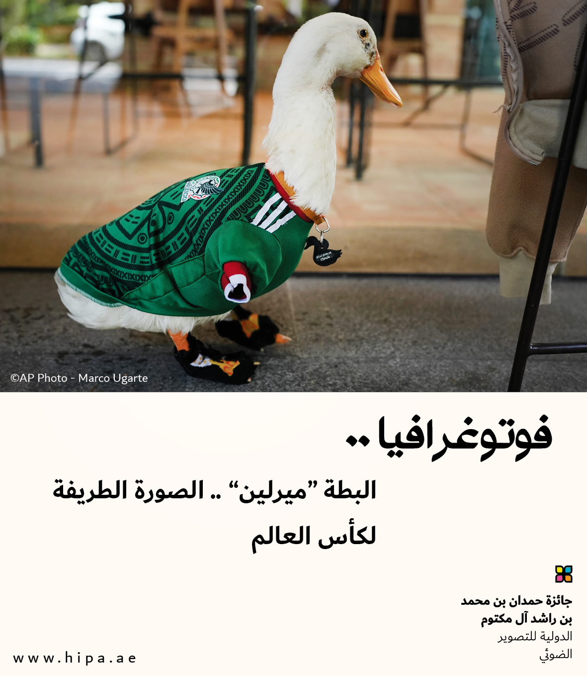 You are currently viewing البطة “ميرلين” .. الصورة الطريفة لكأس العالم