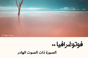 فوتوغرافيا : الصورة ذات الصوت الهادر