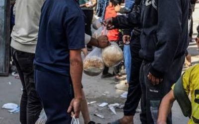 خبز “الغذاء العالمي” في “كرش” السوق السوداء.. تتبعٌ يكشف الطريق
