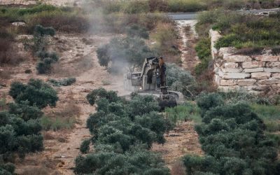 “مجزرة” أشجار جديدة في عنزة ومصادرة 741 مترًا داخل جنين