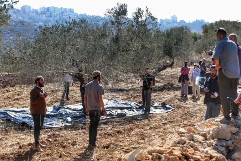 You are currently viewing <strong>عابا الشرقية.. يُجْبَرون على هدم دفيئاتهم بأيديهم</strong>